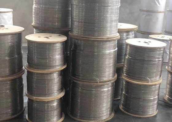 Специализированный цвет из нержавеющей стали решетки решетки веревки проволока для растений скалолазания одежды и заграждения тень паруса